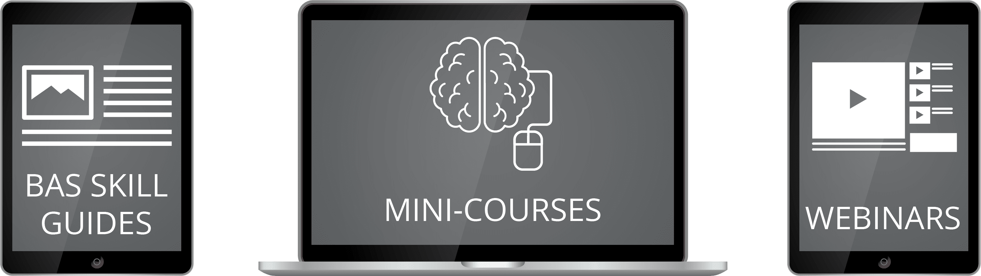 BAS-resources