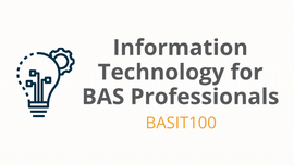 InformationTechnologyforBASProfessionals
