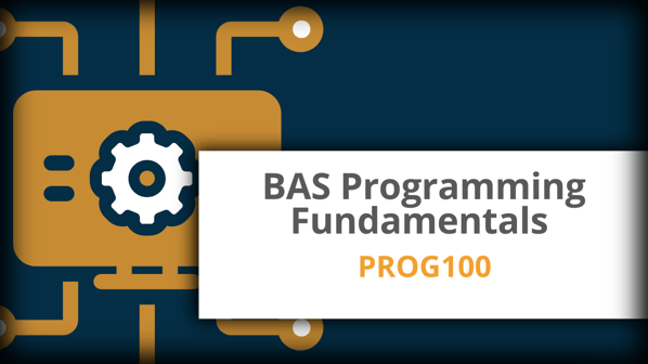 BAS Programming Fundamentals | SBA