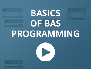 basics-of-bas-programming-webinar